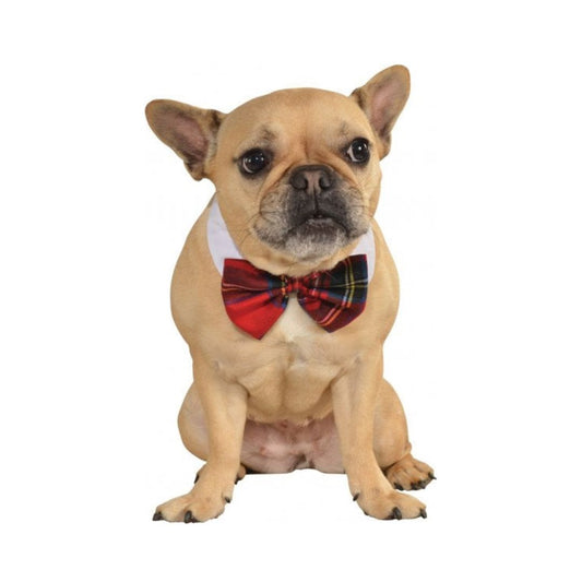 Rubies Festive Plaid Pet Bowtie S-M