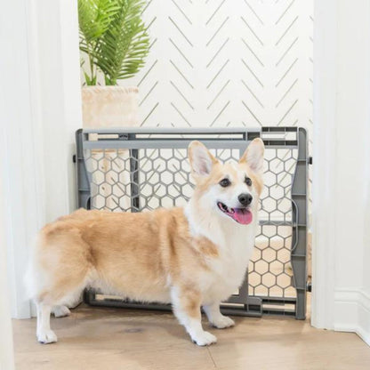 Carlson Expandable Extra Tall Gate w/ Slide Handle White 29-52 X 41in.