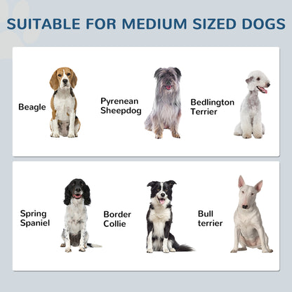 PawHut Pet Feeding Station, Dog Food Storage Cabinet w/ Raised Dog Bowls, Adjustable Panel, Hooks for Medium Dogs, White