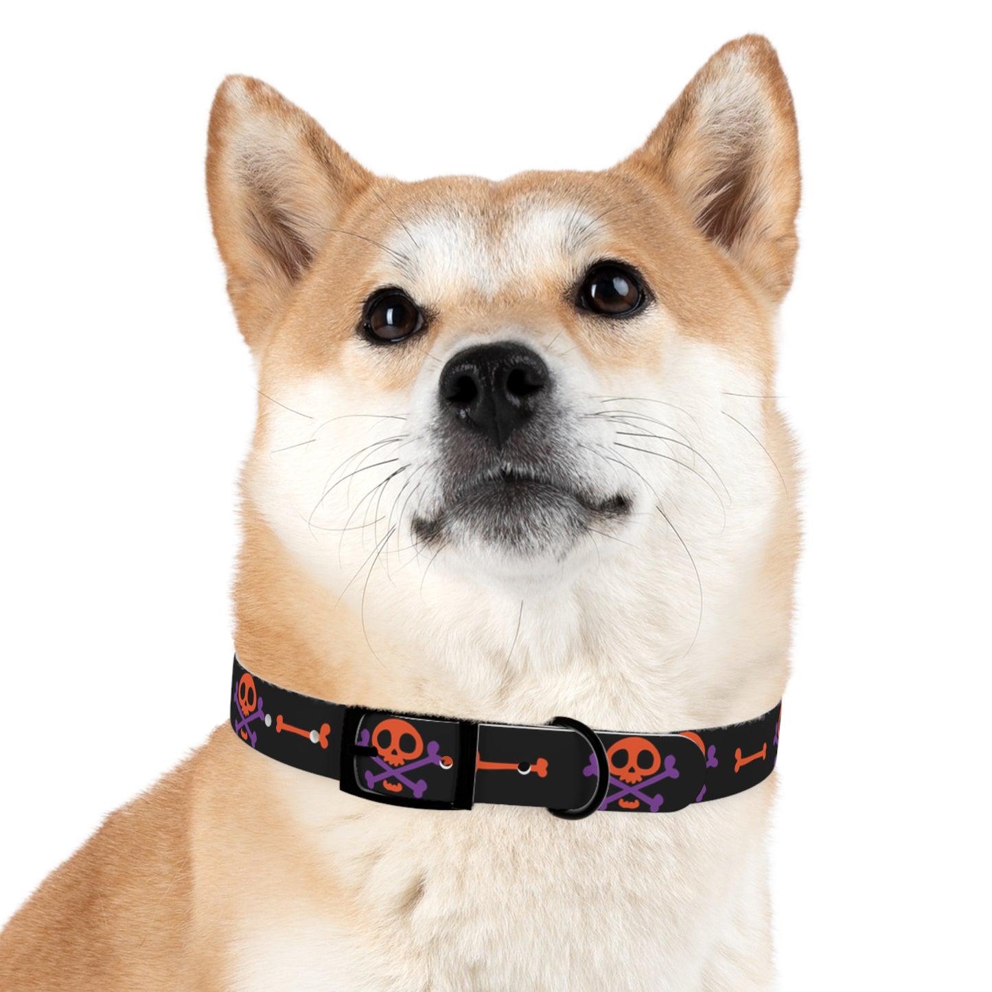 No Treats No Trick Halloween Dog Collar