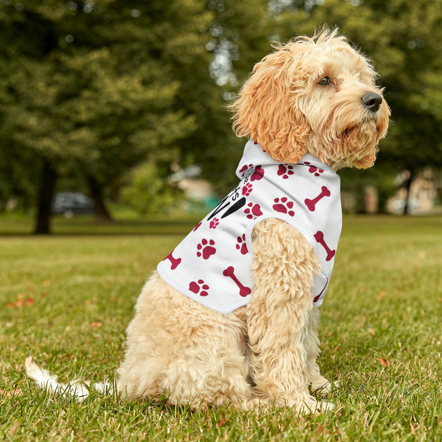 Spill the Treats RED Pet Hoodie