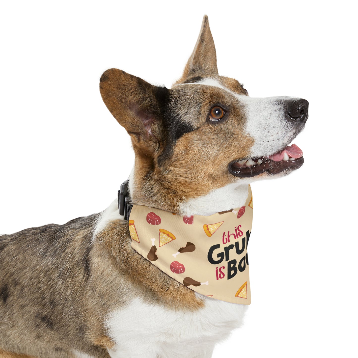 This Grubber is Bougie - Pet Bandana Collar