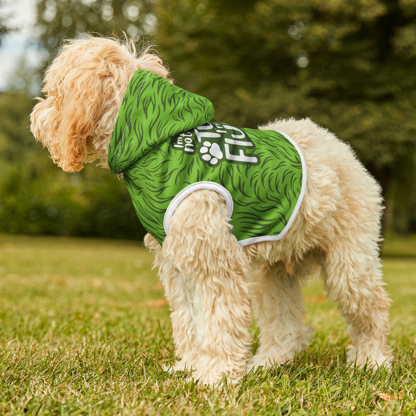 I'm Not Tubby, I'm Fluffy GREEN Pet Hoodie