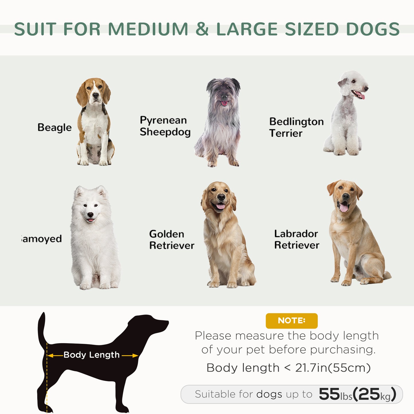 PawHut Dog Couch with Removable Pillows, Foam Pet Sofa, Cat Sofa with Removable Washable Cushion & Water-Resistant Fabric, Gray