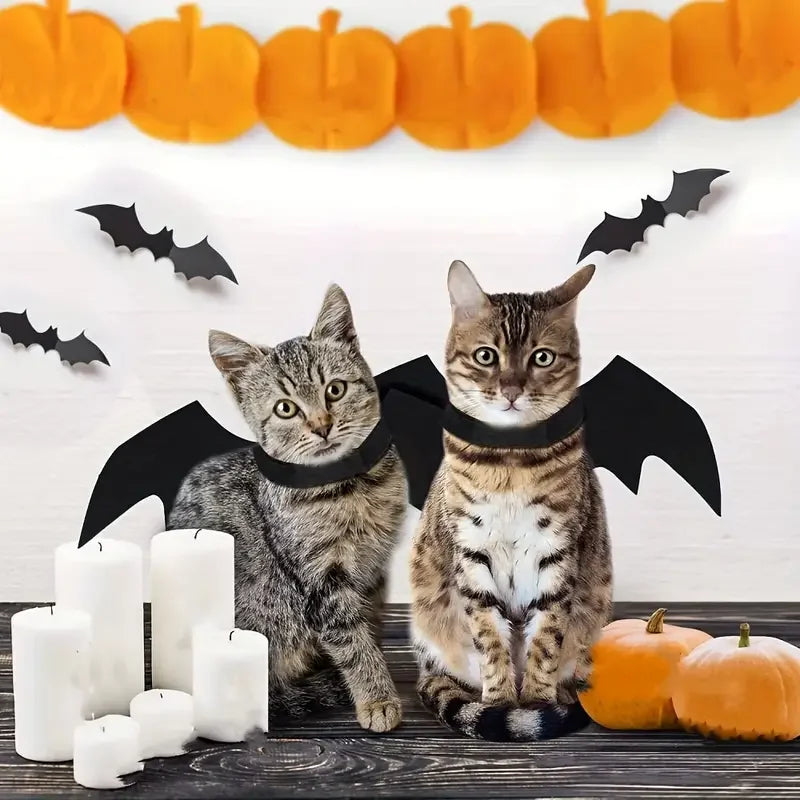 Midnight Mischief Bat Wings Costume