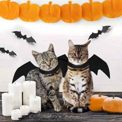 Midnight Mischief Bat Wings Costume
