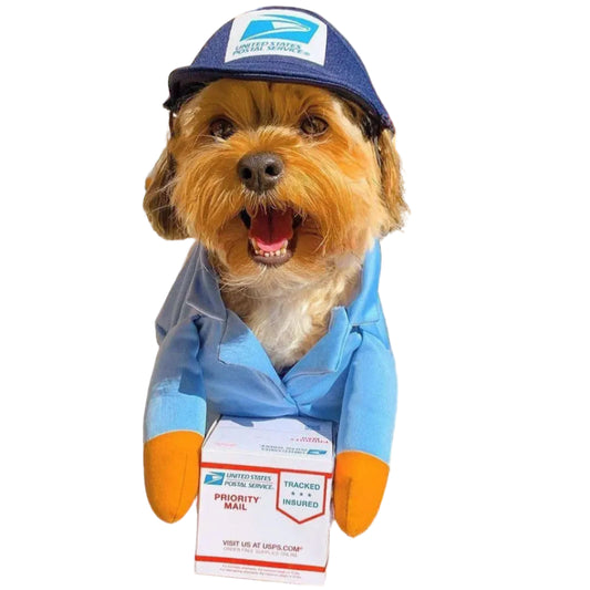 Pawsmail & Pawcel Delivery Costume
