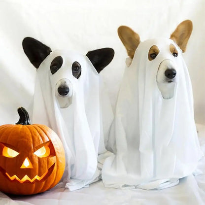 Boo-Buddy Ghostly Cloak Costume