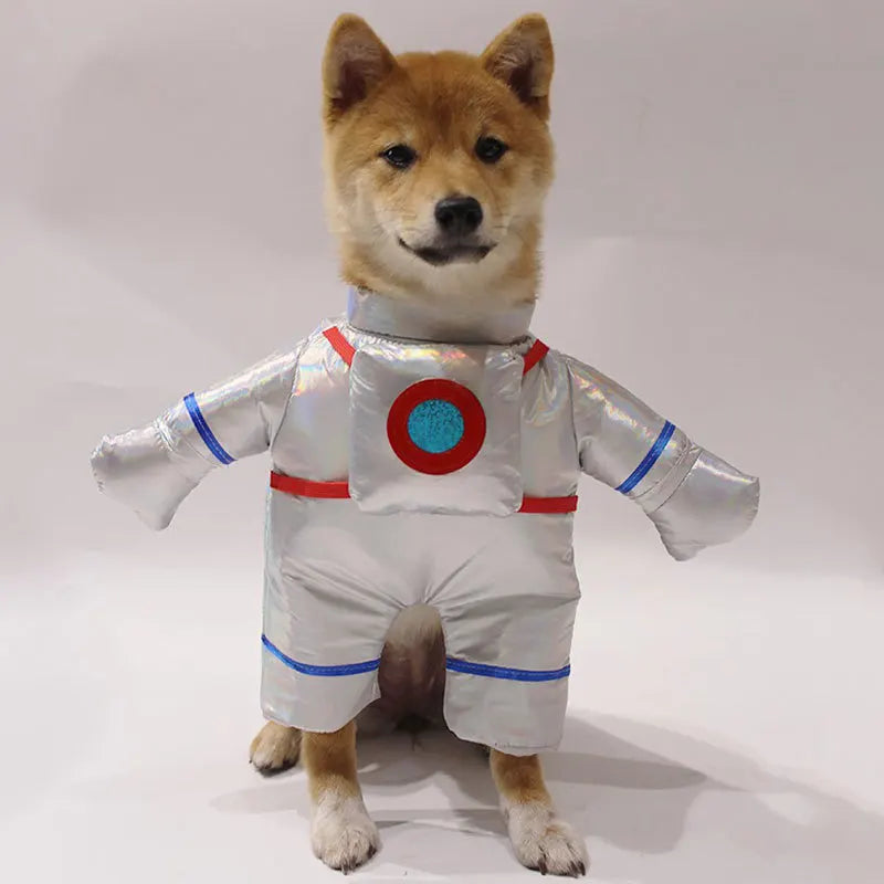 Paws in Space, Sea & Scrubs! Astronaut, Pirate & Doctor Costumes