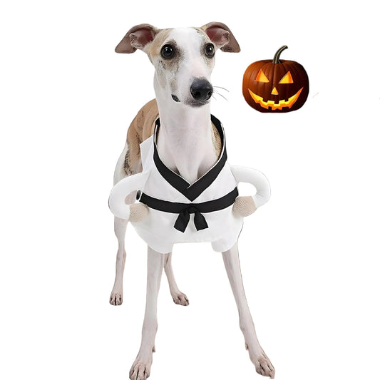 SenSei-Paw-Fu Fighting Costume
