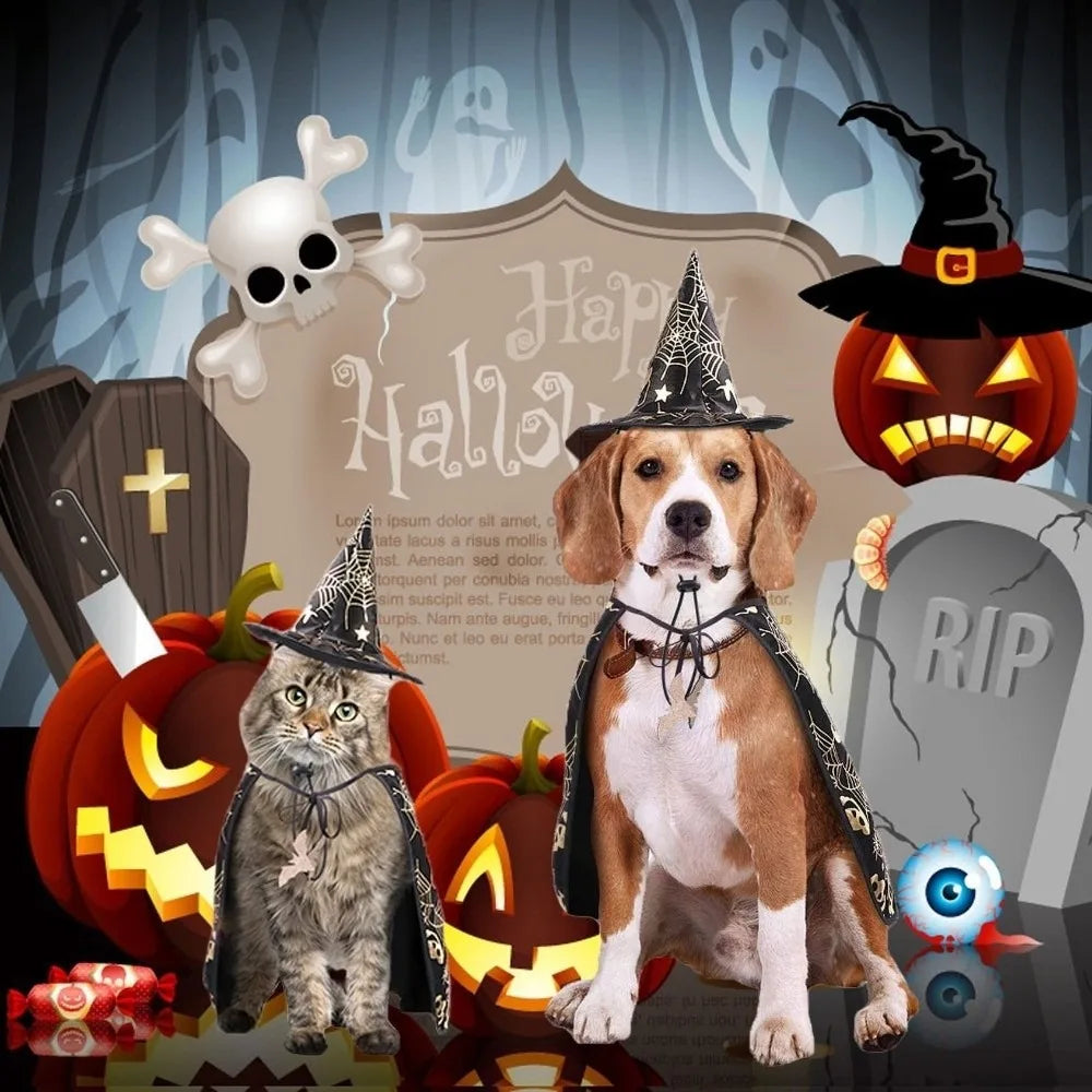 Paw-Kin Pumpkin Cape Set