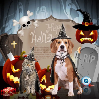 Paw-Kin Pumpkin Cape Set