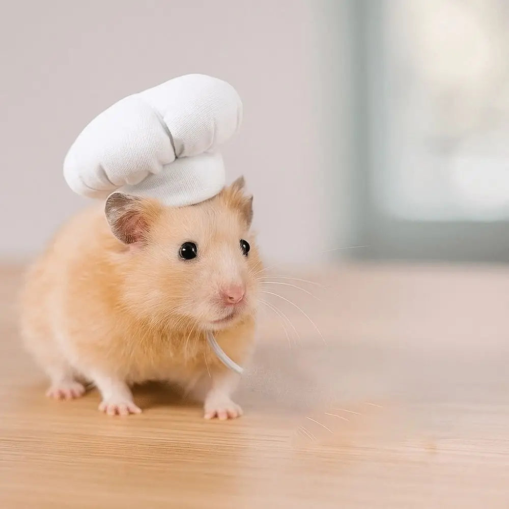 Ham-ril Chef Hat – Bam!