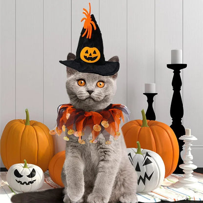 Halloween Pumpkin Hat & Collar Set
