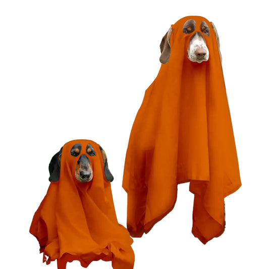 Caspaw the Friendly Ghost