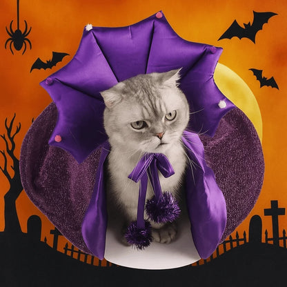 Professor Purrgonagall Witch Cloak or Hat Costume