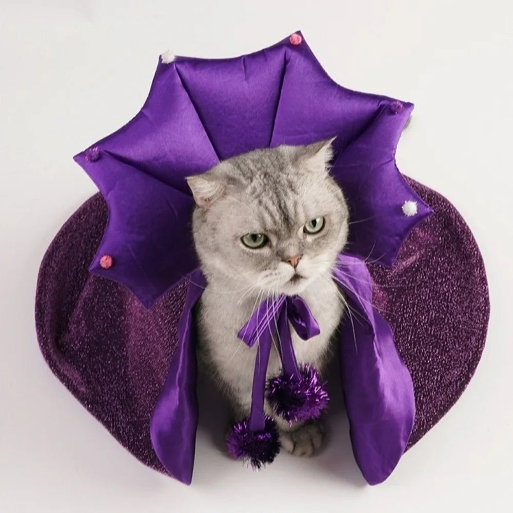 Professor Purrgonagall Witch Cloak or Hat Costume