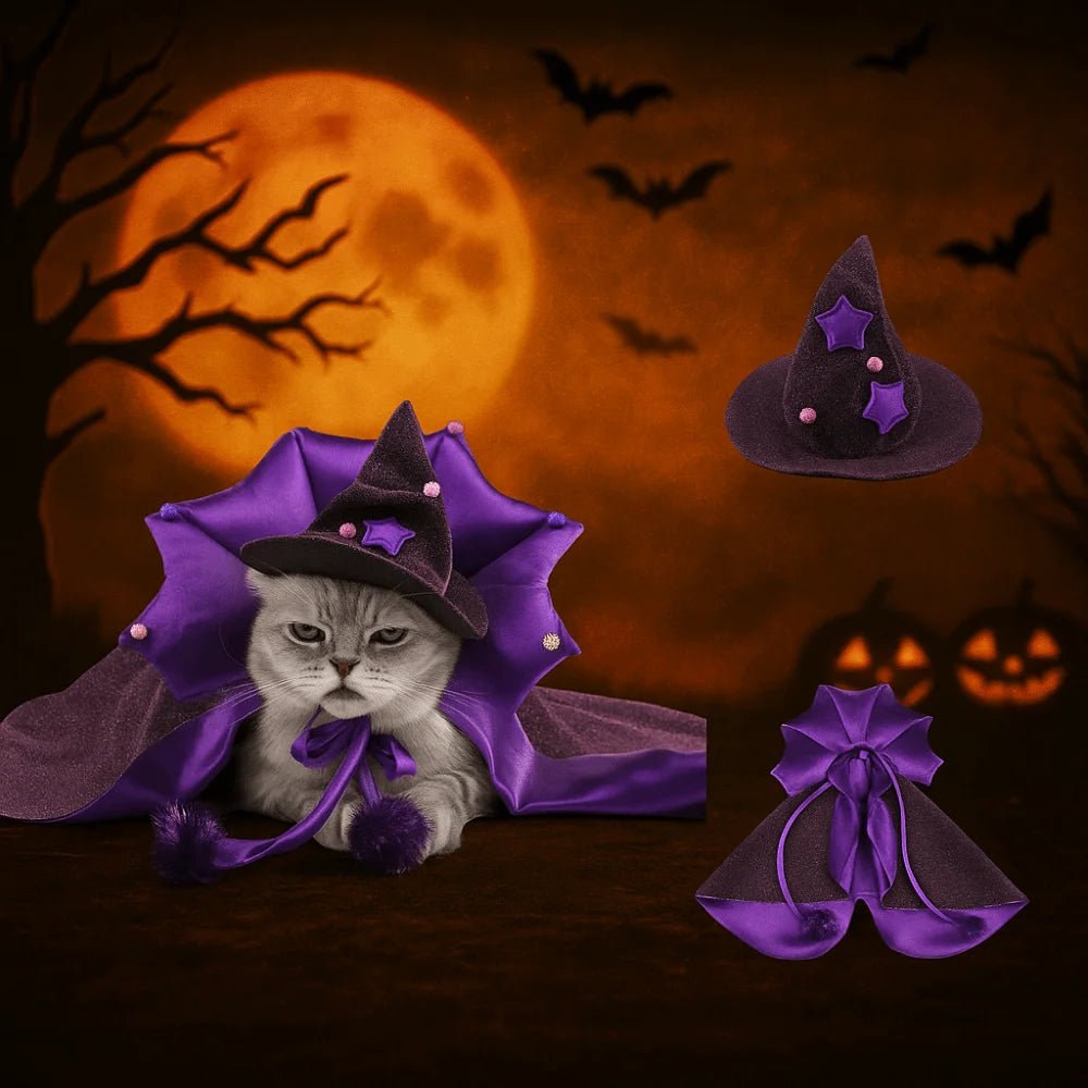 Professor Purrgonagall Witch Cloak or Hat Costume