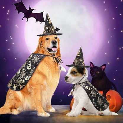 Paw-Kin Pumpkin Cape Set