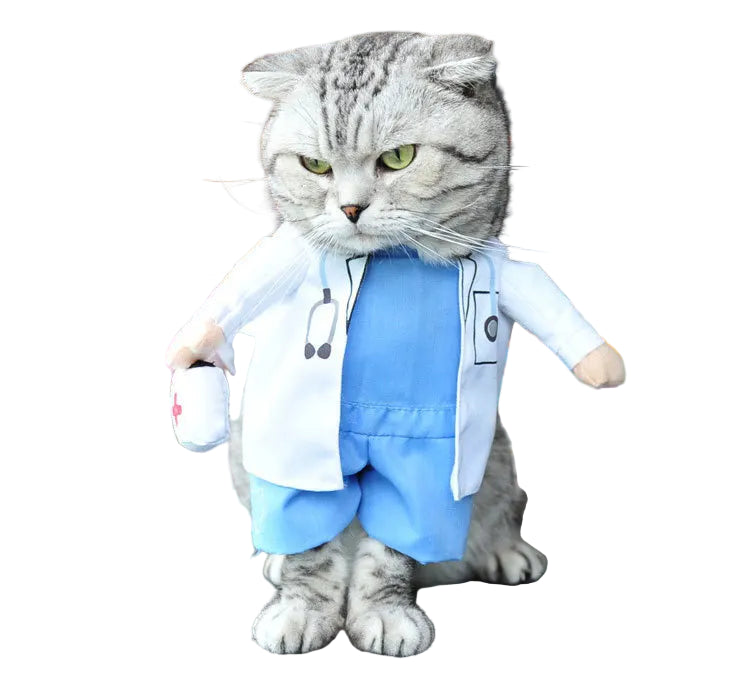 Paws in Space, Sea & Scrubs! Astronaut, Pirate & Doctor Costumes