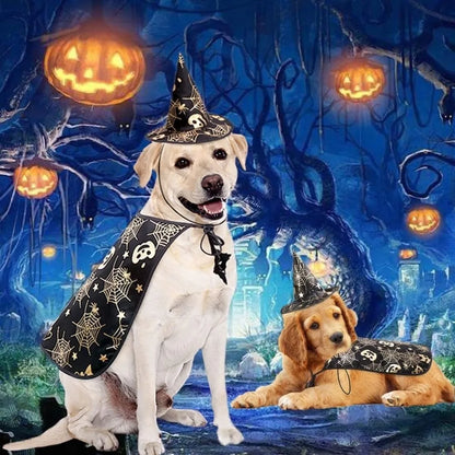 Paw-Kin Pumpkin Cape Set