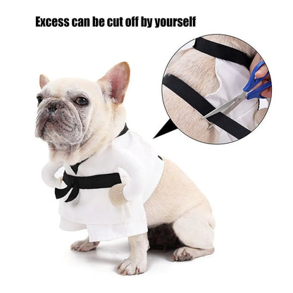 SenSei-Paw-Fu Fighting Costume