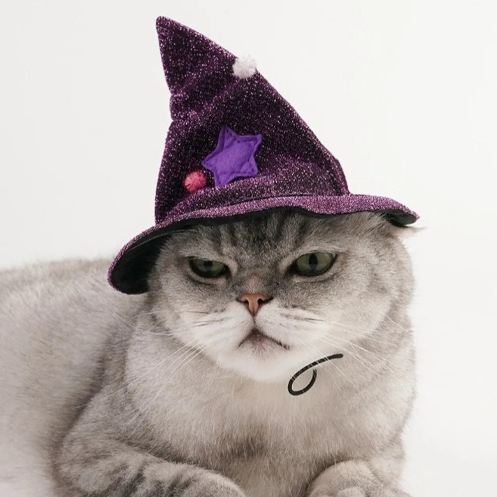 Professor Purrgonagall Witch Cloak or Hat Costume