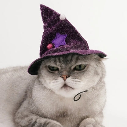 Professor Purrgonagall Witch Cloak or Hat Costume