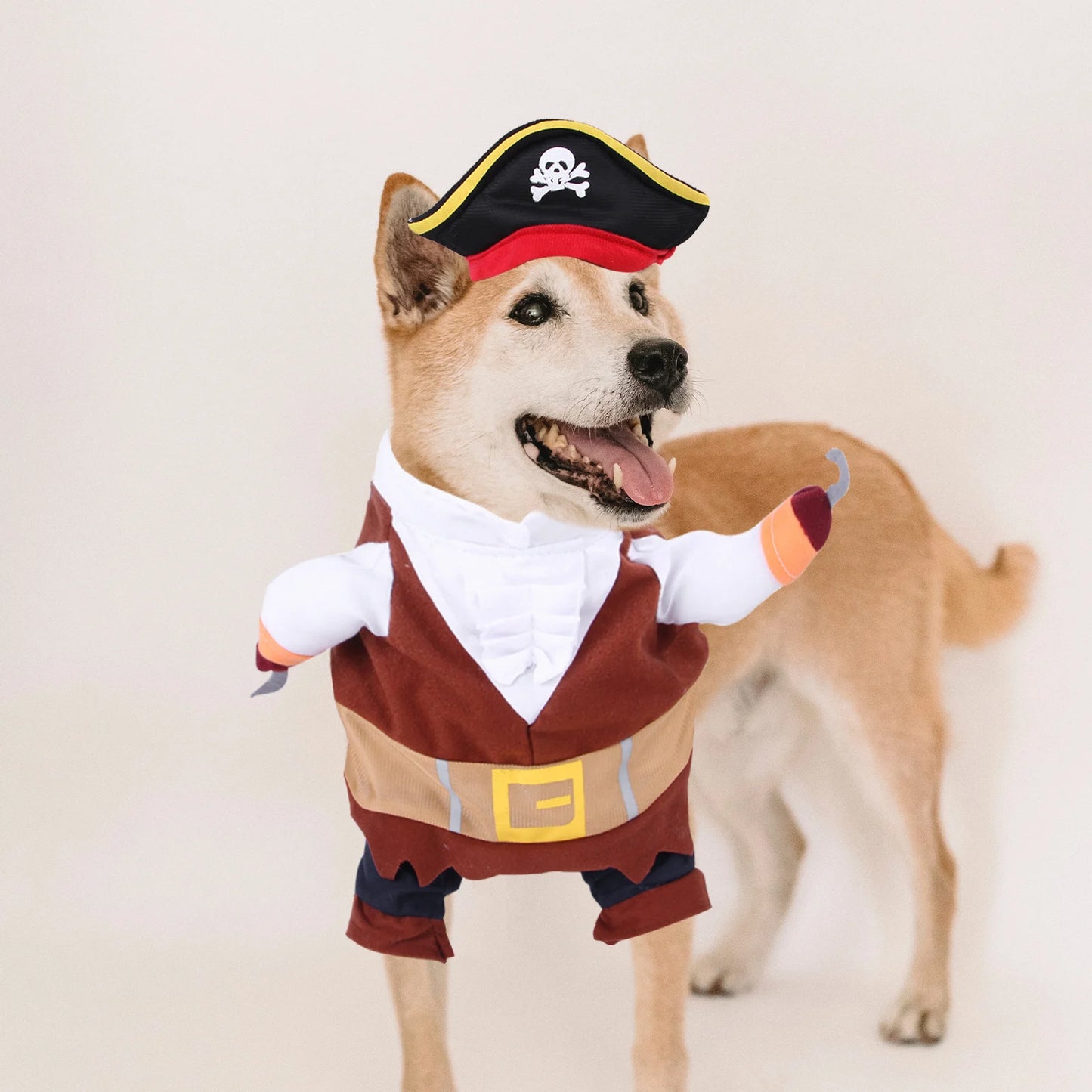 Captain Spawrow Pirate Costume