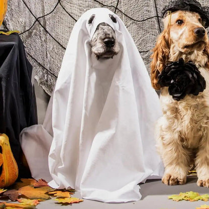 Boo-Buddy Ghostly Cloak Costume