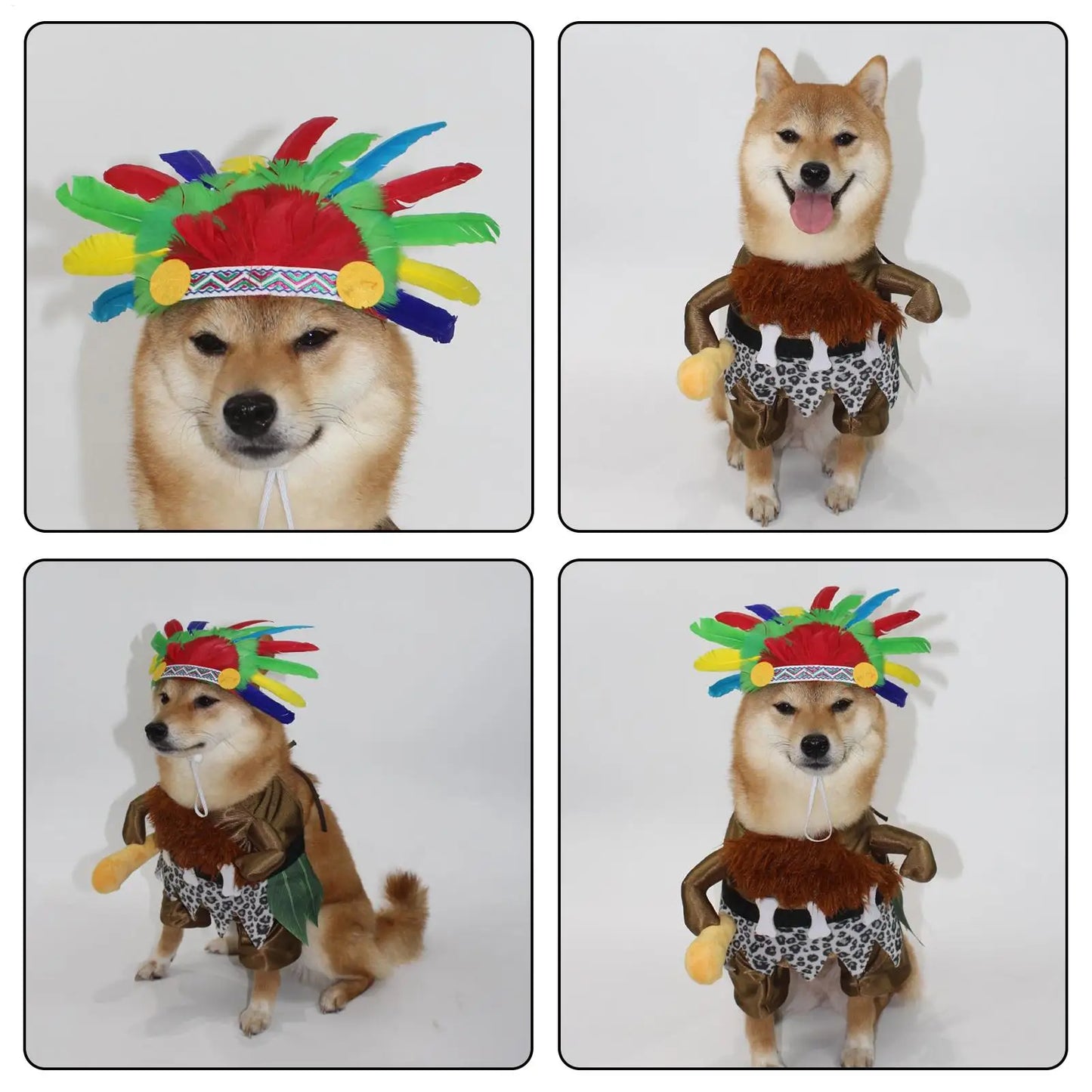 Indian Chief Costume