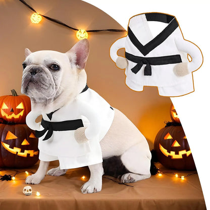 SenSei-Paw-Fu Fighting Costume