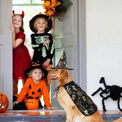 Paw-Kin Pumpkin Cape Set