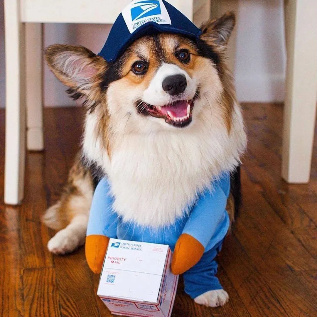 Pawsmail & Pawcel Delivery Costume