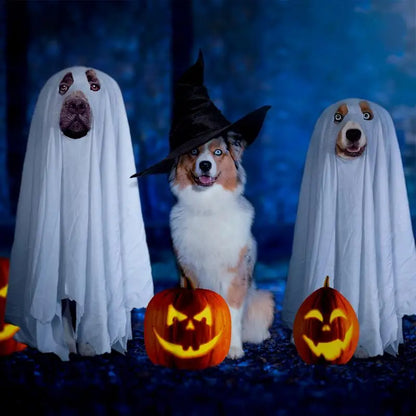 Boo-Buddy Ghostly Cloak Costume