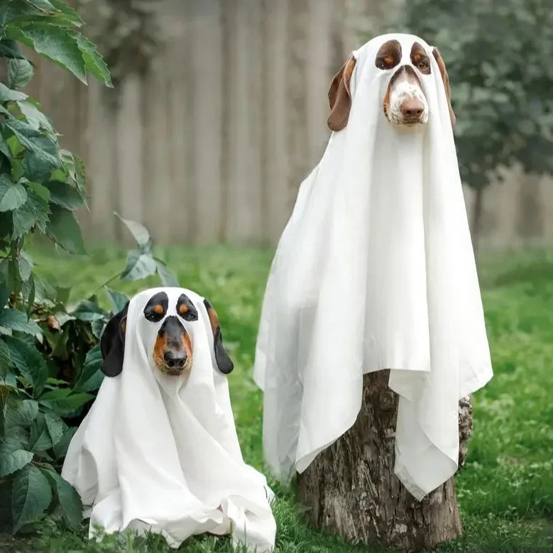 Caspaw the Friendly Ghost
