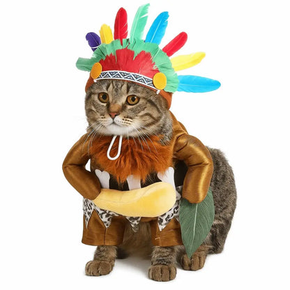 Little Chief Costume