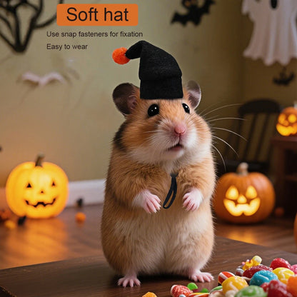 Pumpkin Puff Hamster Costume Set NEW!