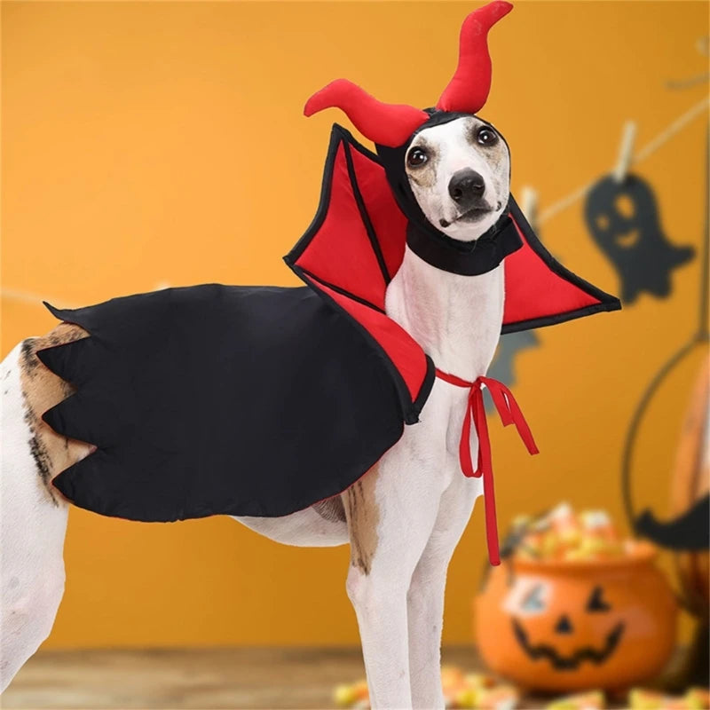 Fang-tastic Vampire Costume