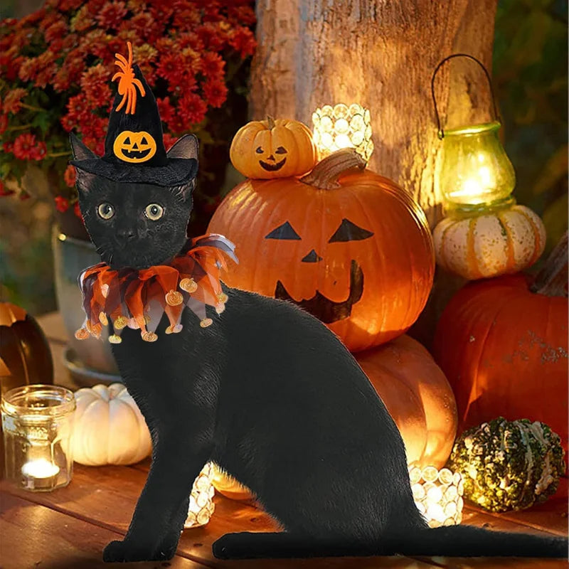 Halloween Pumpkin Hat & Collar Set