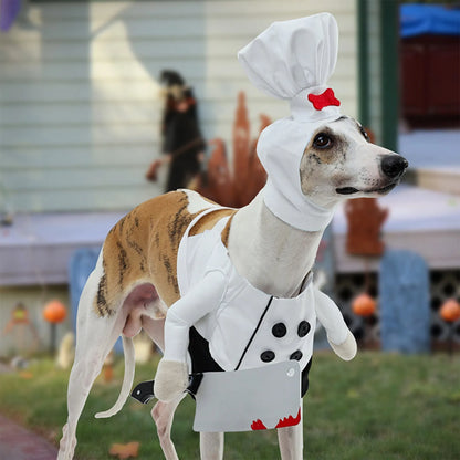The Pawtisserie Chef Costume