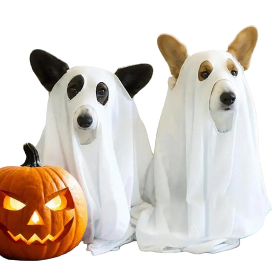 Boo-Buddy Ghostly Cloak Costume