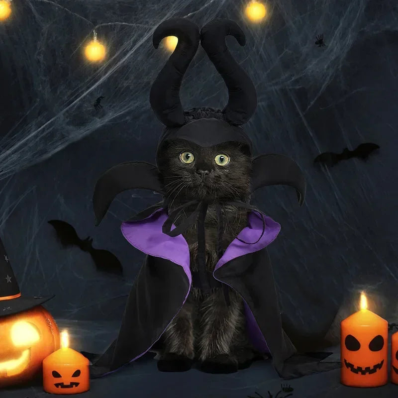 Slumber Spell Witch Costume