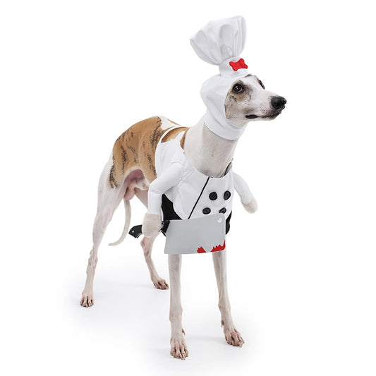 Fur-ieri Flavor Town: Pet Chef Costume