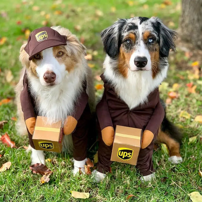 Pawsmail & Pawcel Delivery Costume