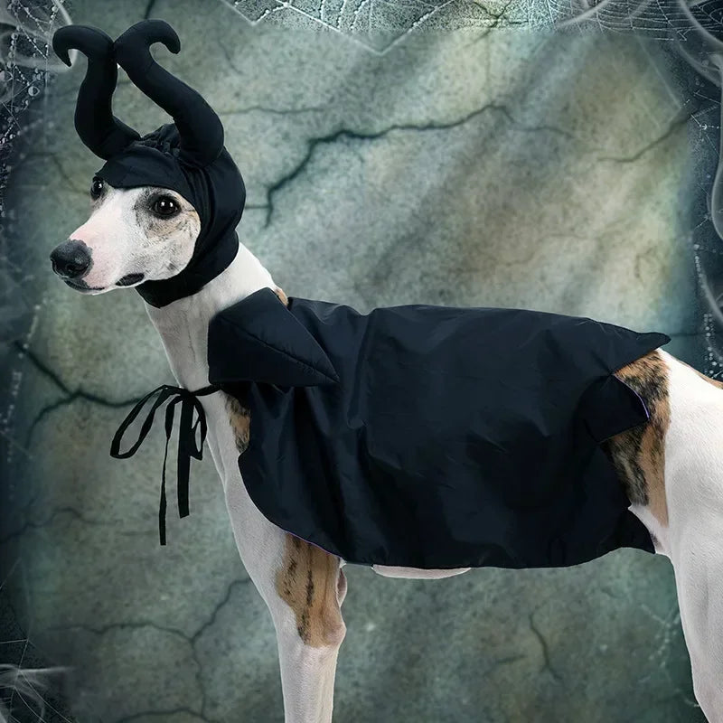 Slumber Spell Witch Costume