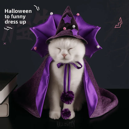 Professor Purrgonagall Witch Cloak or Hat Costume