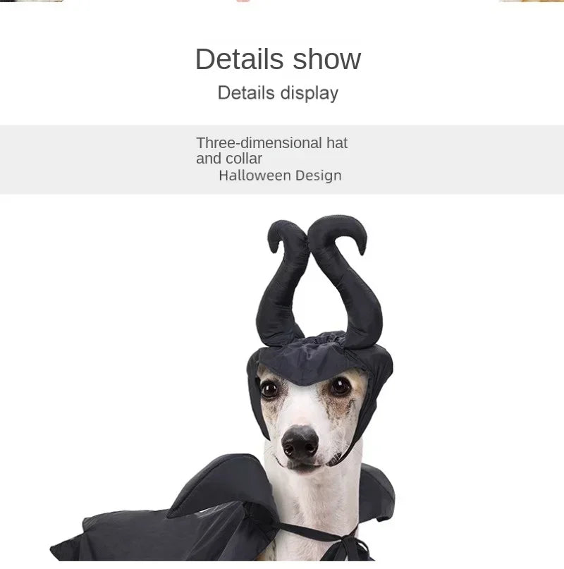 Slumber Spell Witch Costume