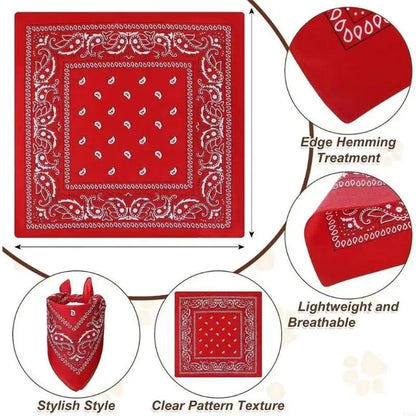 Cowboy Costume Hat & Bandanas Set