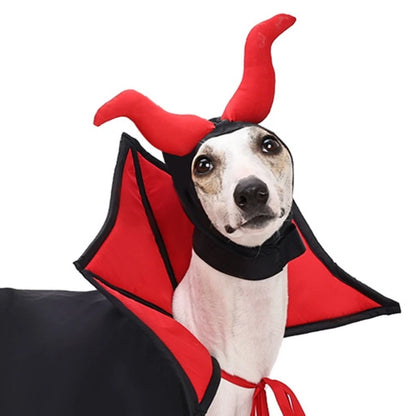 Fang-tastic Vampire Costume